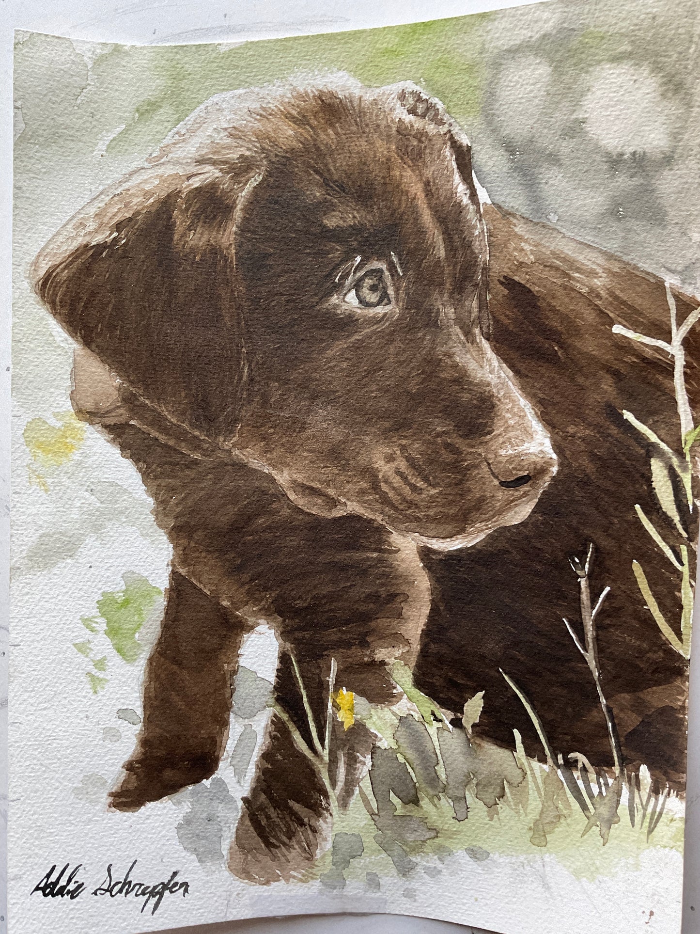 Custom water color animal