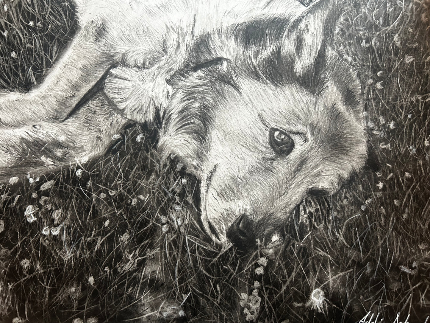 Custom animal drawing